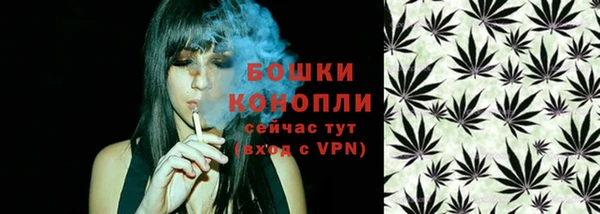 индика Краснослободск