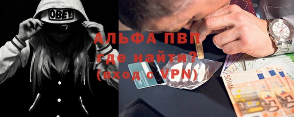 индика Краснослободск