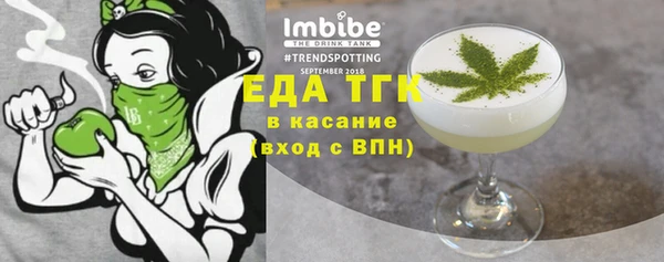 индика Краснослободск
