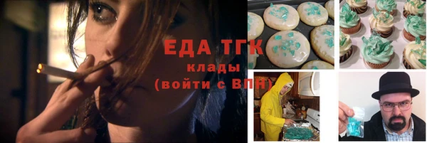 индика Краснослободск