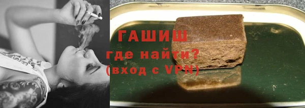 индика Краснослободск