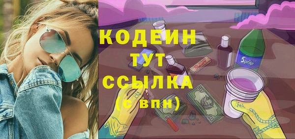 индика Краснослободск