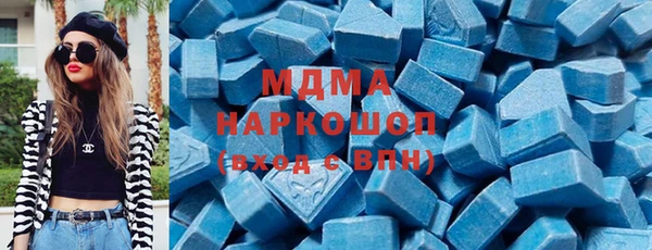 индика Краснослободск