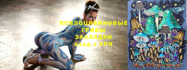 спиды Корсаков