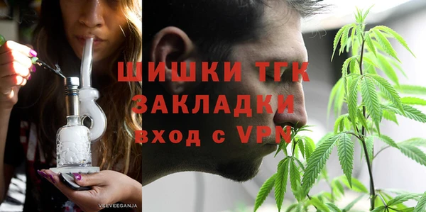 индика Краснослободск