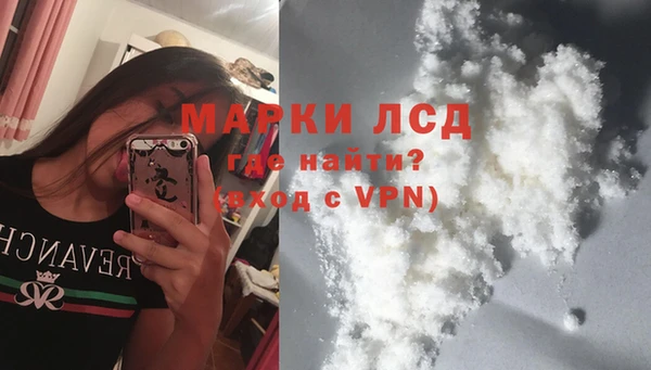 индика Краснослободск