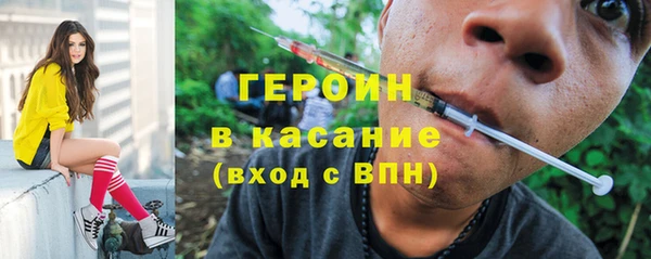индика Краснослободск