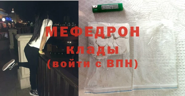 индика Краснослободск