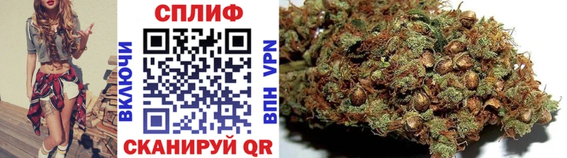Купить закладки  Бодайбо  Каннабис семена 